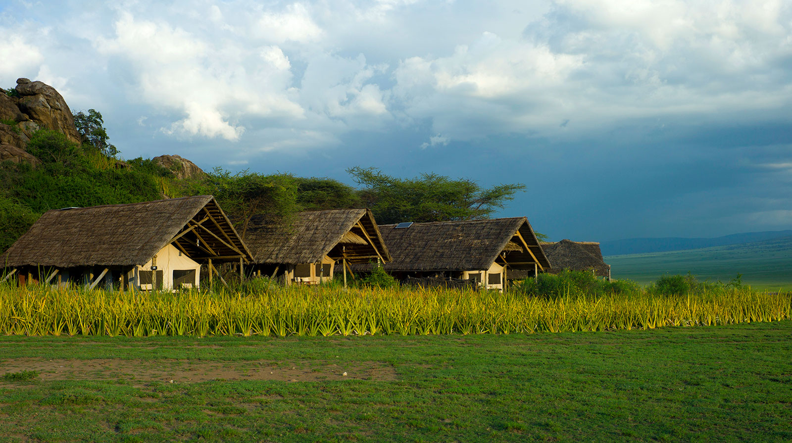 Olduvai Camp - Comfort and authenticity
