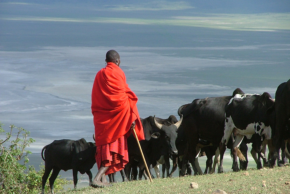Excursion avec les Maasai
