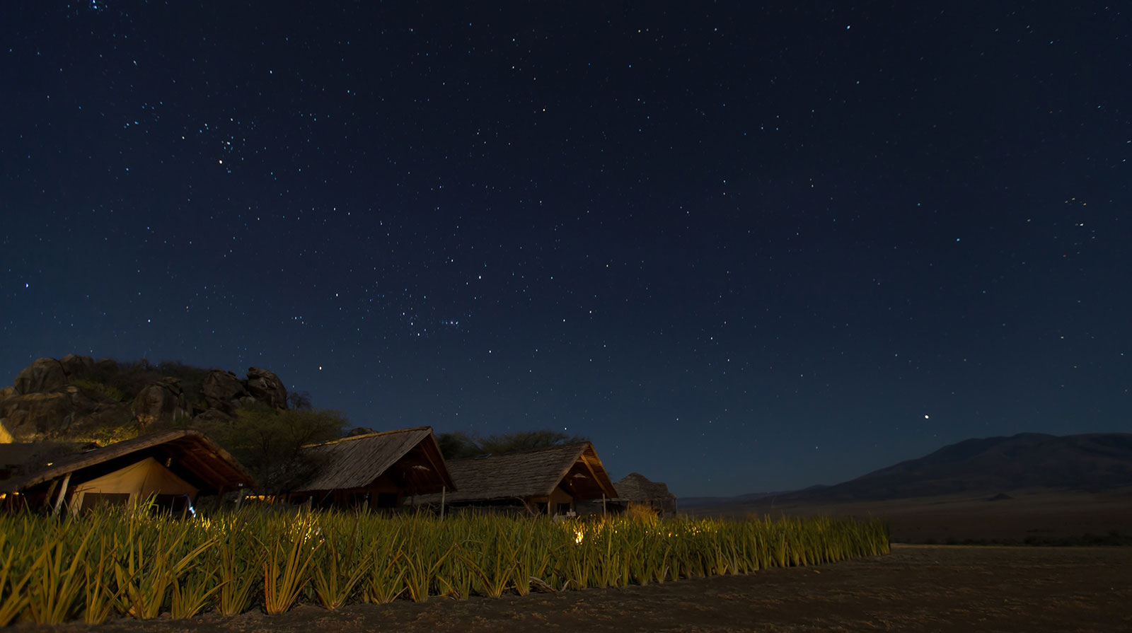 Olduvai Camp - Sous les étoiles
